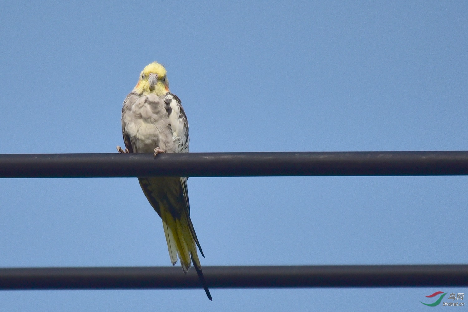 DSC_0785.JPG