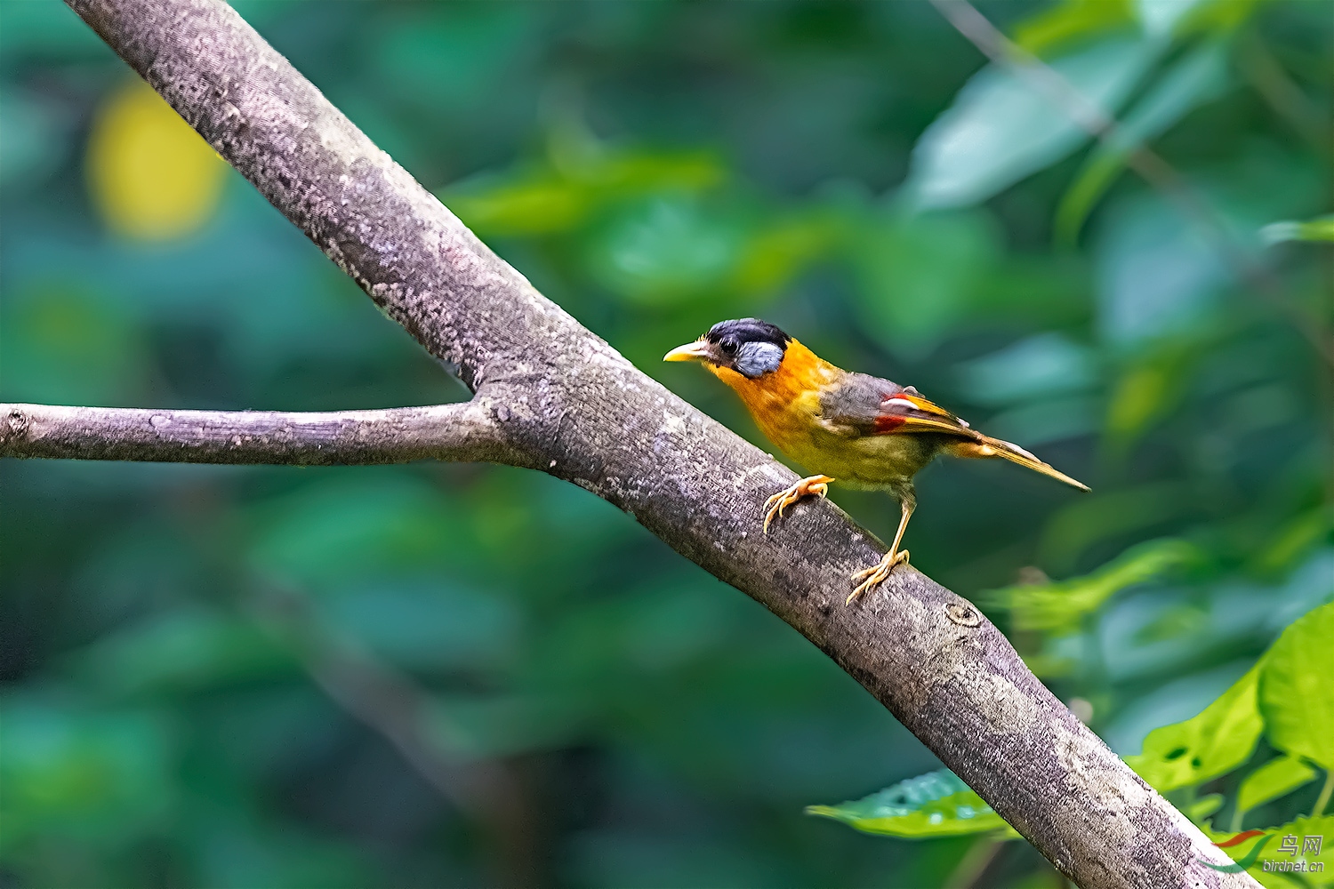 DSC_3543-2.jpg