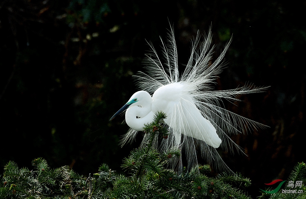 ��ɽ�İ���