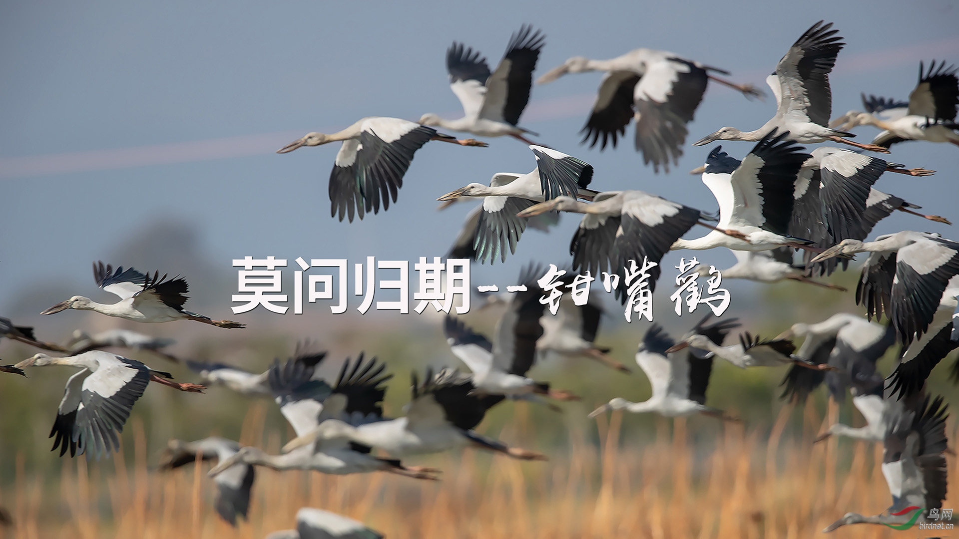 ǯ�� ���� 01.00_01_56_11.Still001-2.jpg