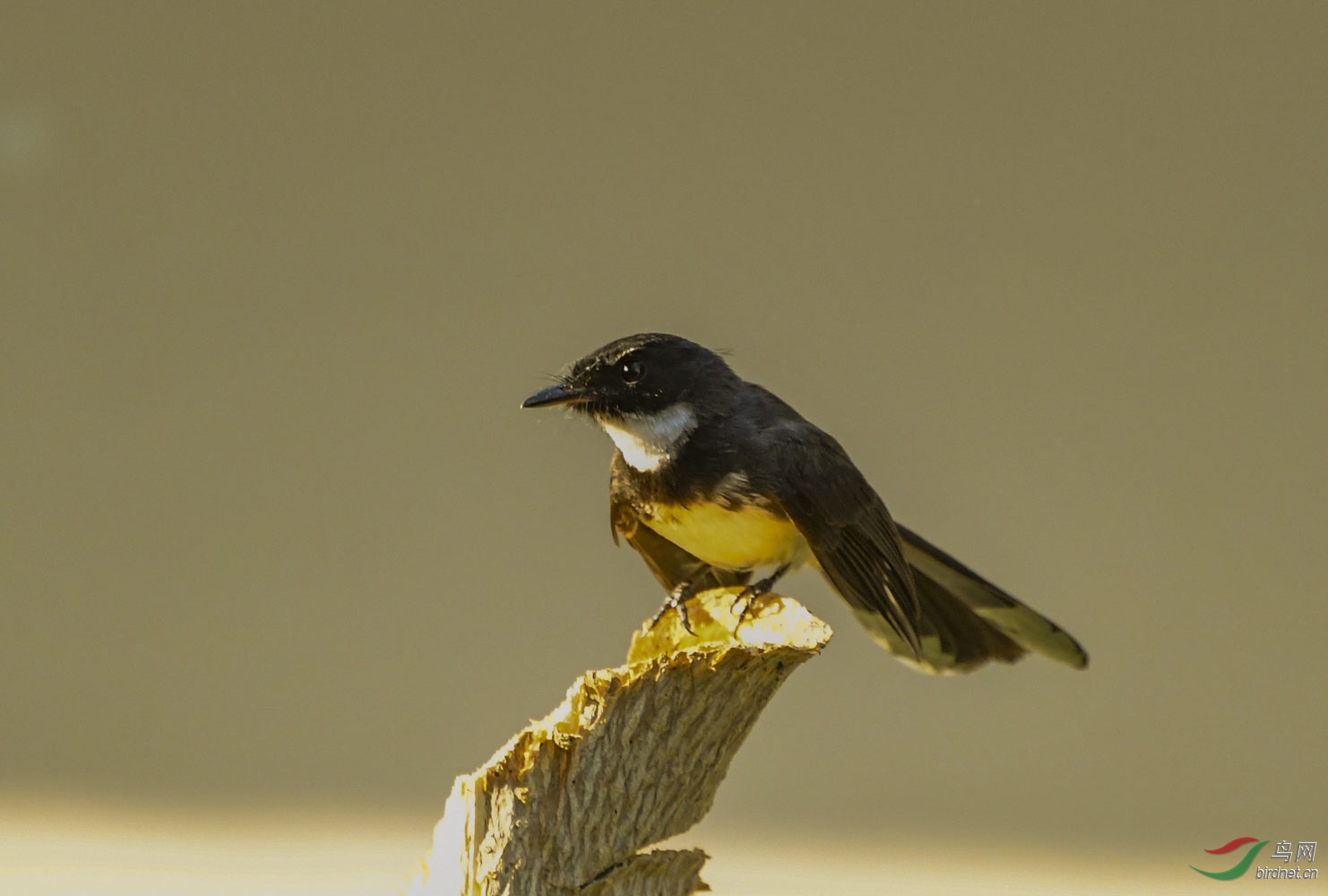DSC_1744.JPG