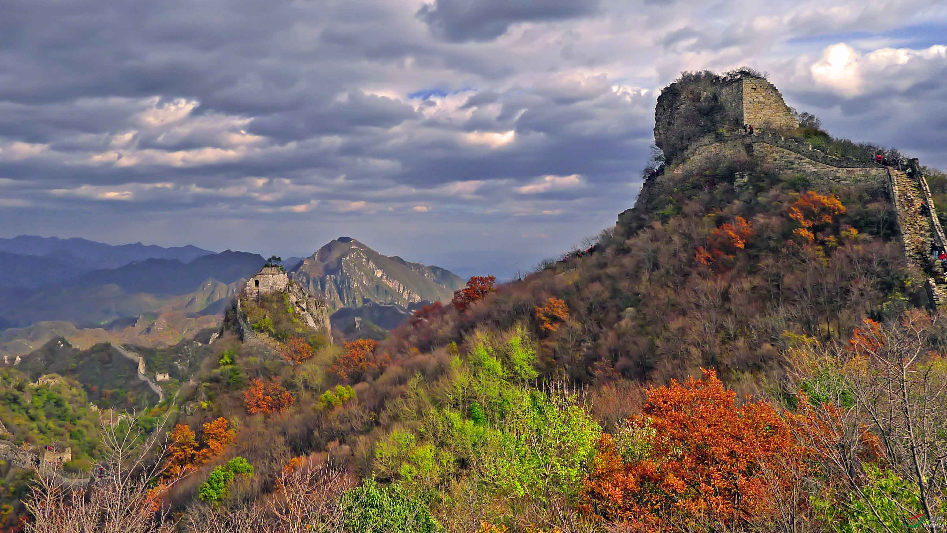 L1000931.jpg