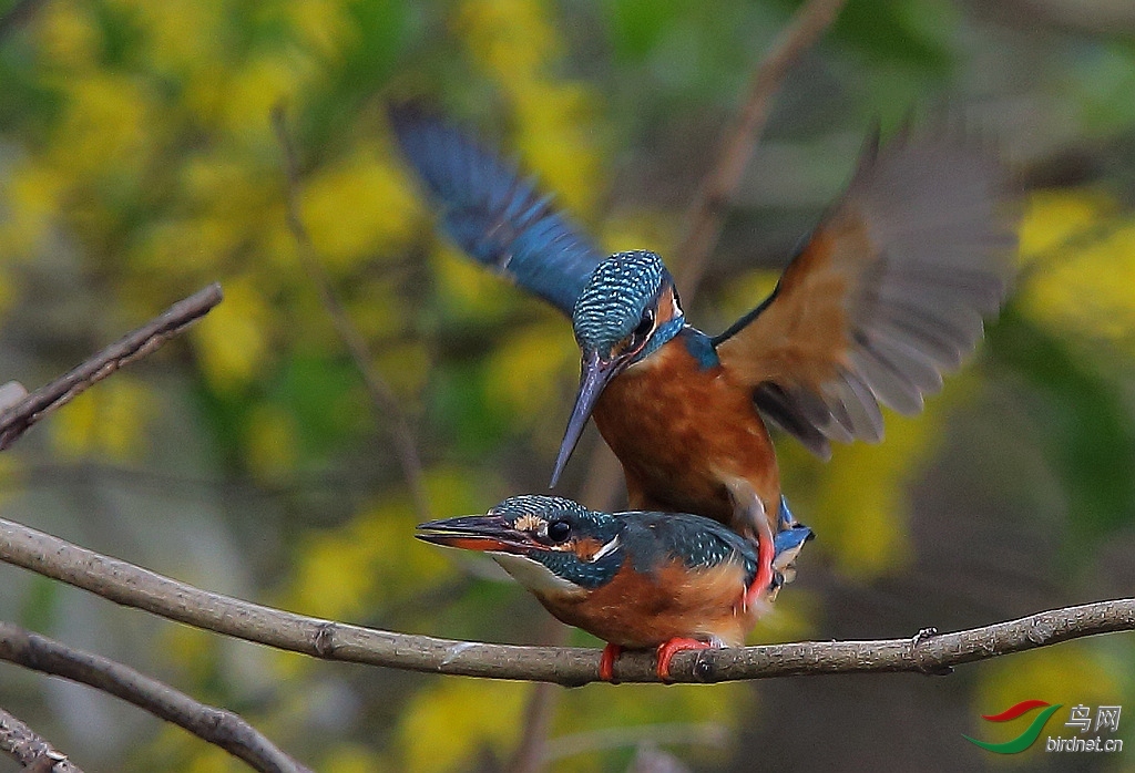 �㵴ɽ ��ʦ�������Ϻ��б�ɽ��.jpg