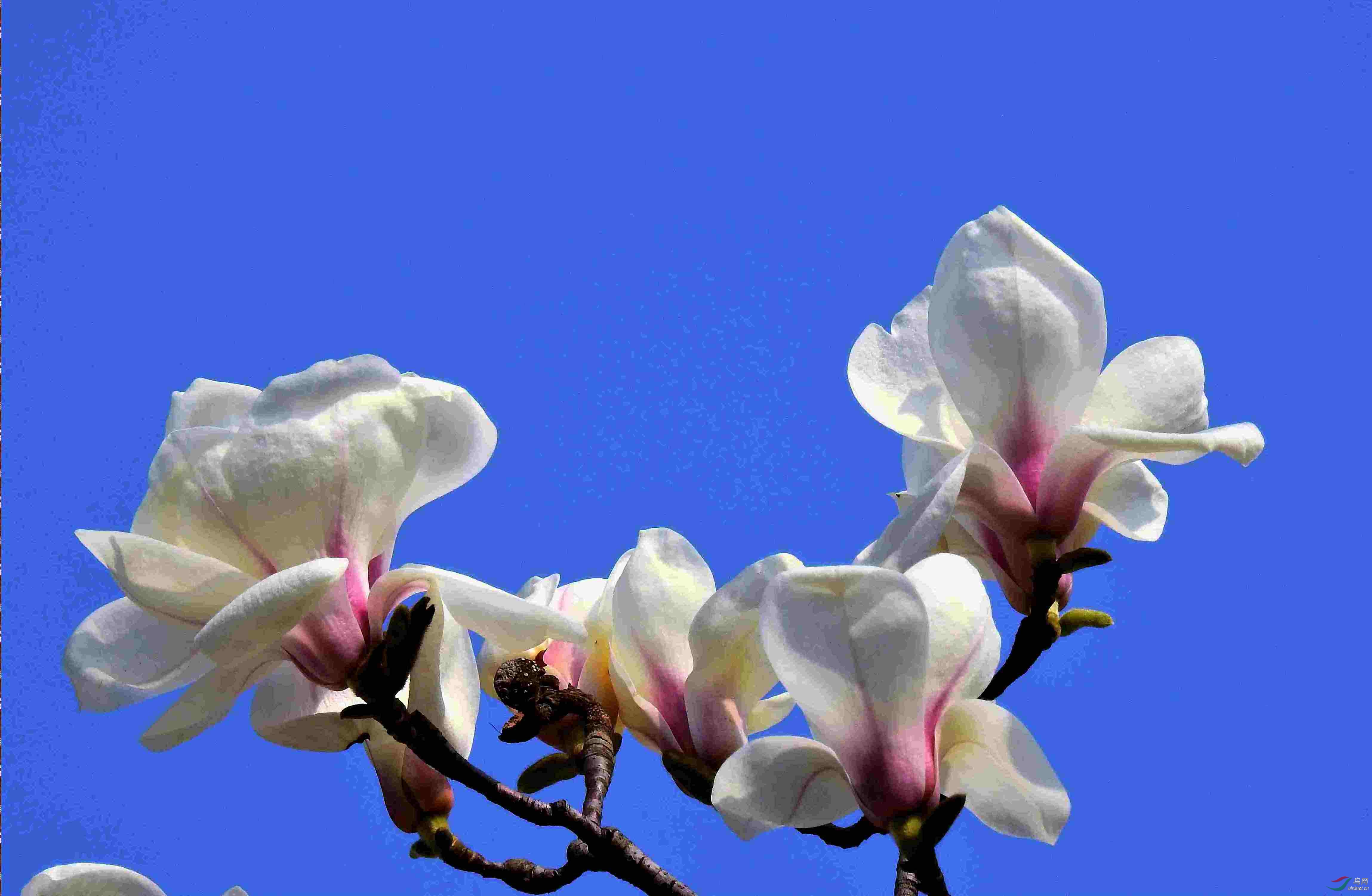 DSCN5680.JPG