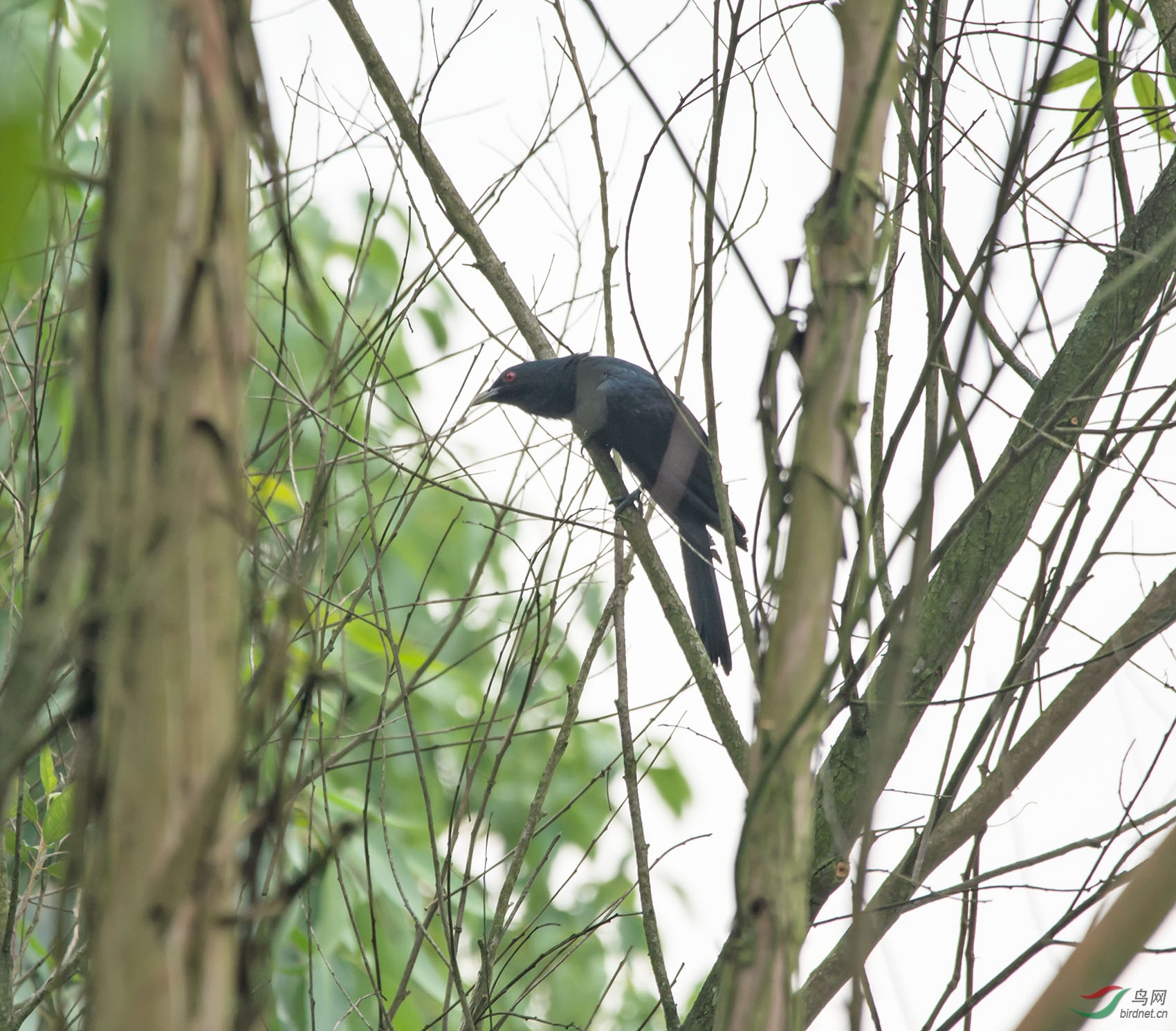 30������