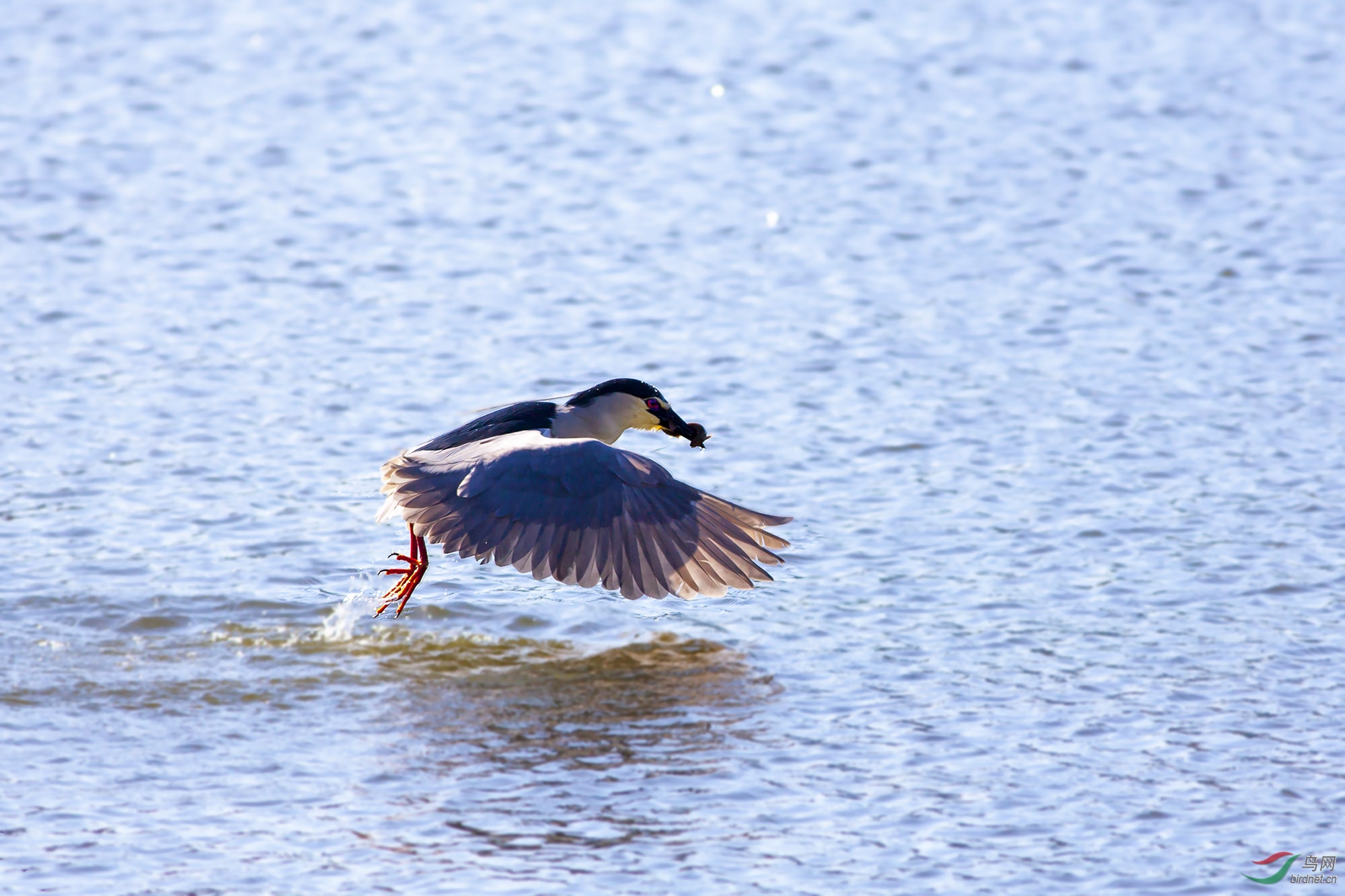 IMG_0659p.jpg