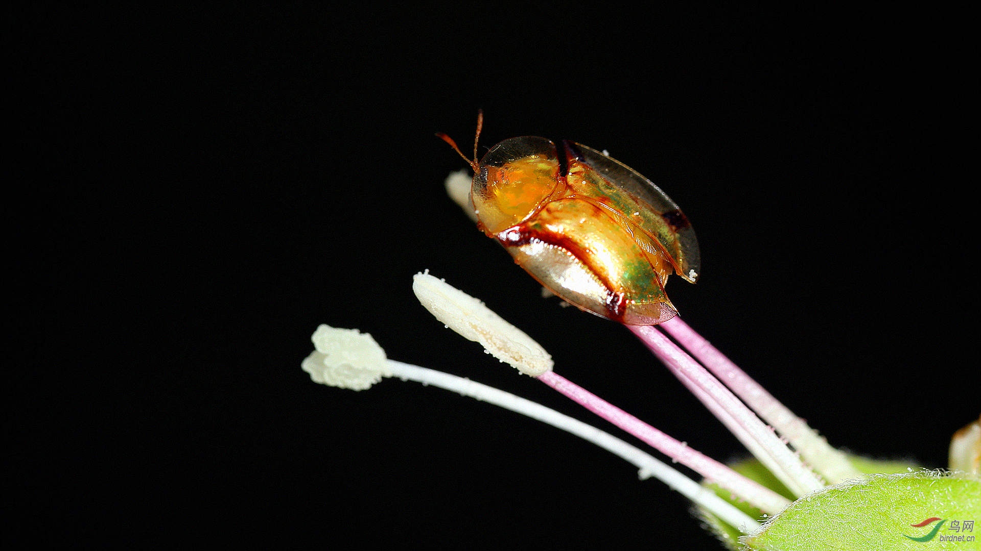 EC6A2201_����.jpg