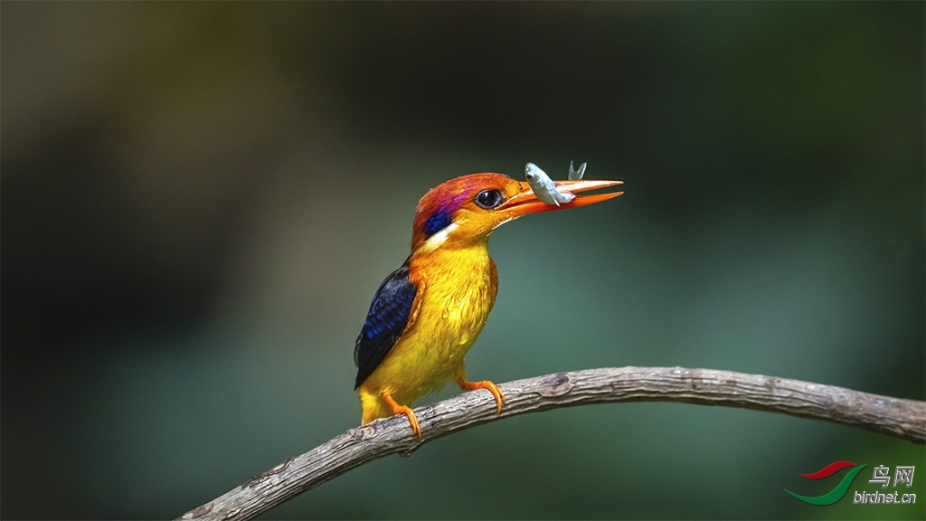 ������� ��ʦ����������ʡ�º���徰����������.jpg