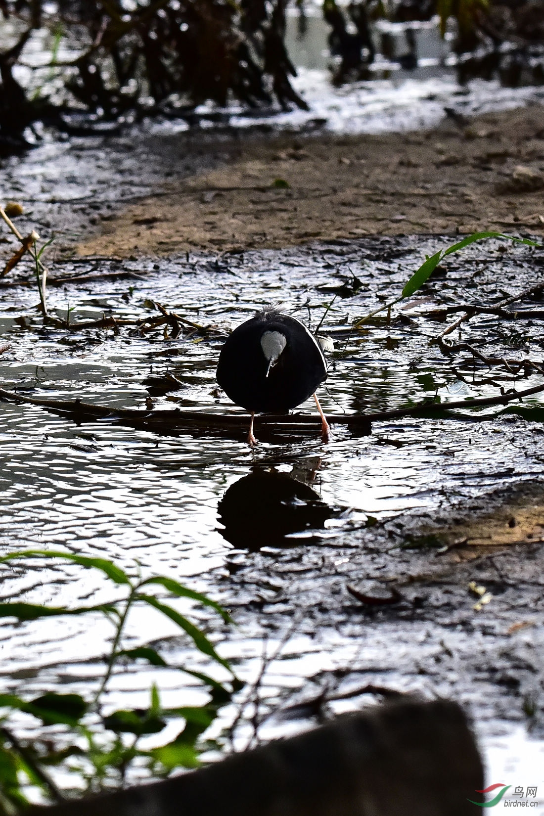 DSC_0628.JPG