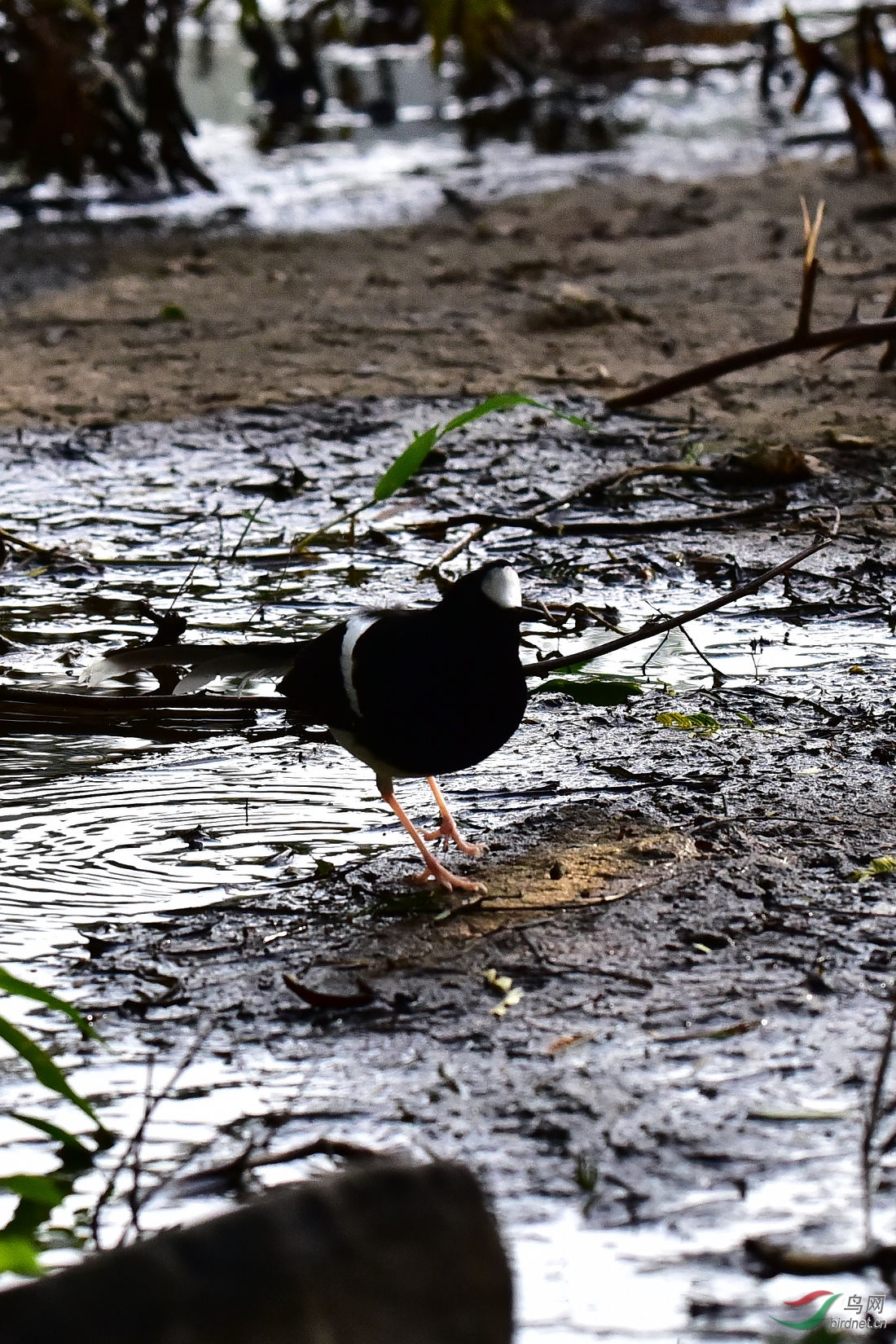 DSC_0630.JPG