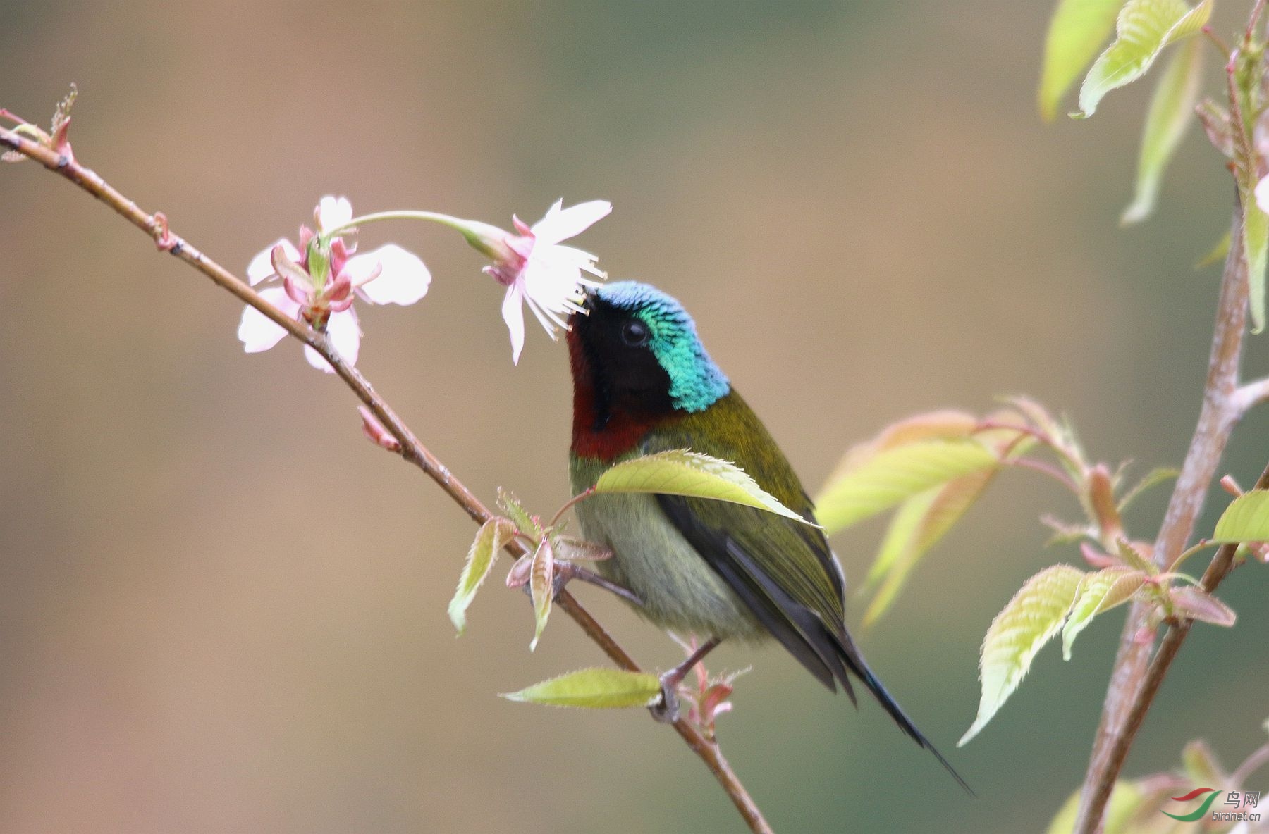 027A4875_����.jpg