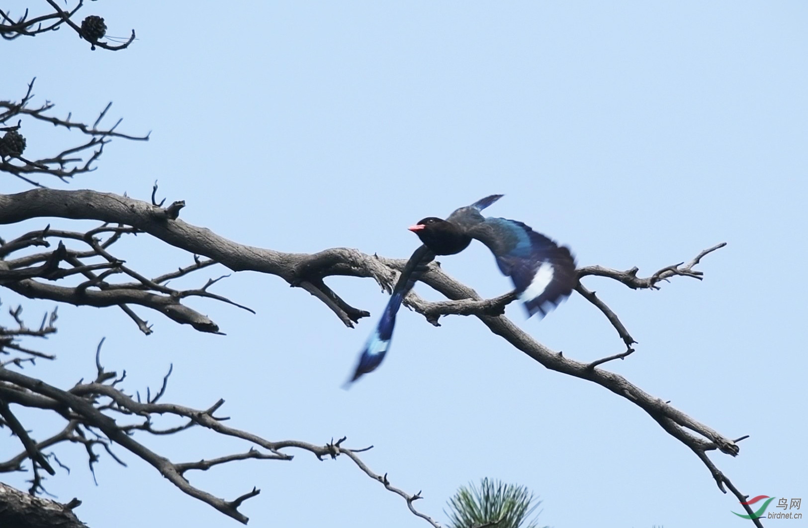 DSC_4022_Moment-3-p-1.jpg