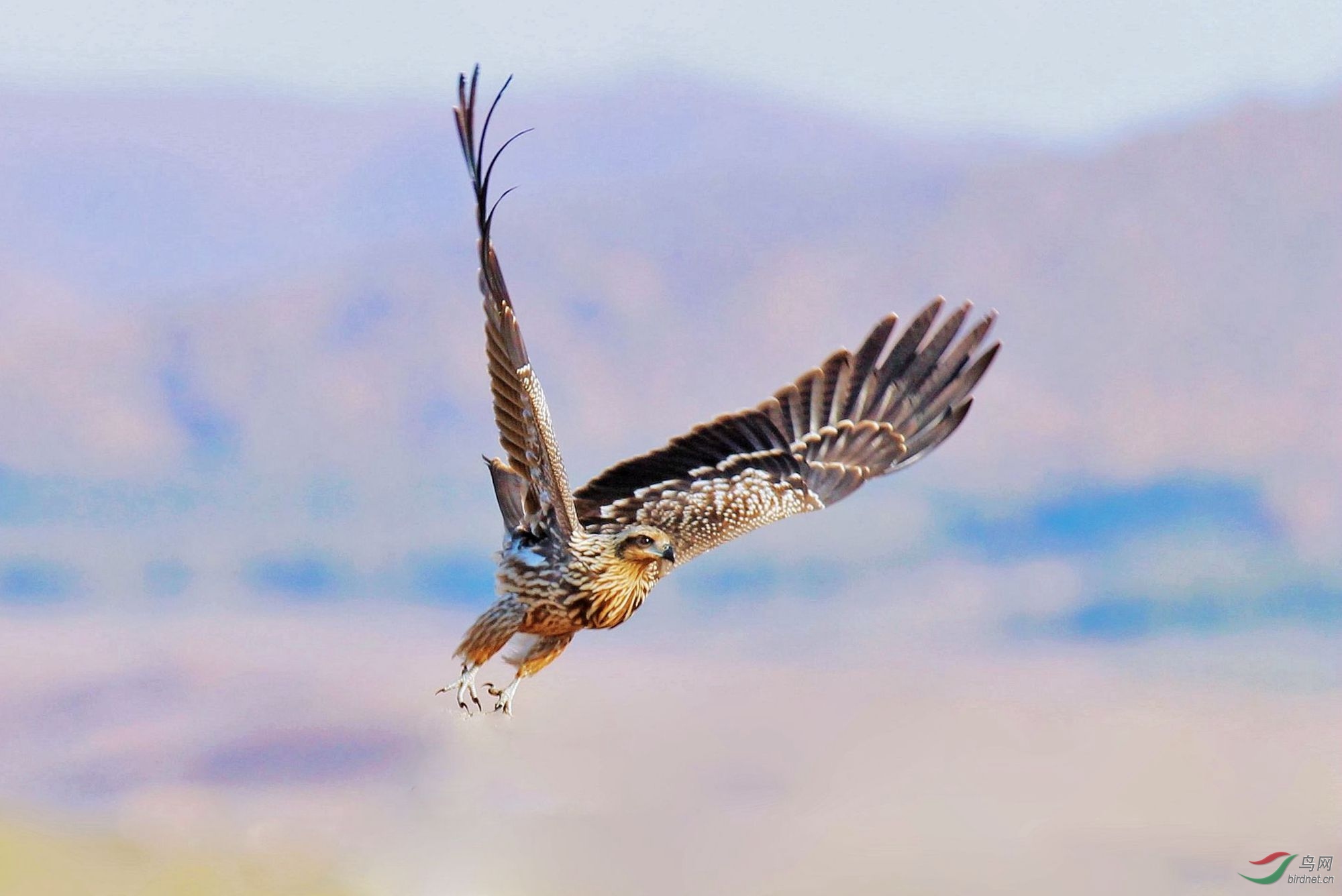 AK2Y6963 2000_2000.jpg