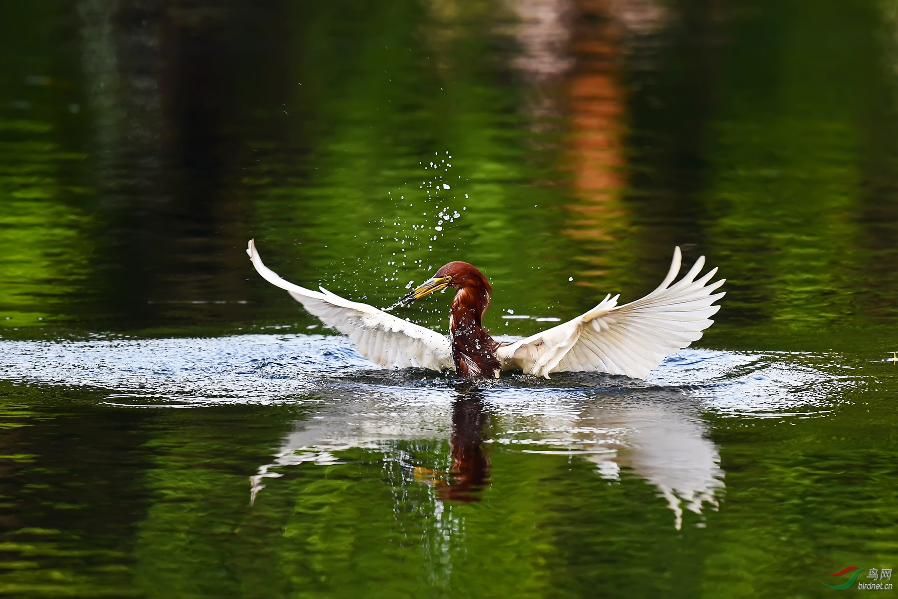 DSC_3313.jpg
