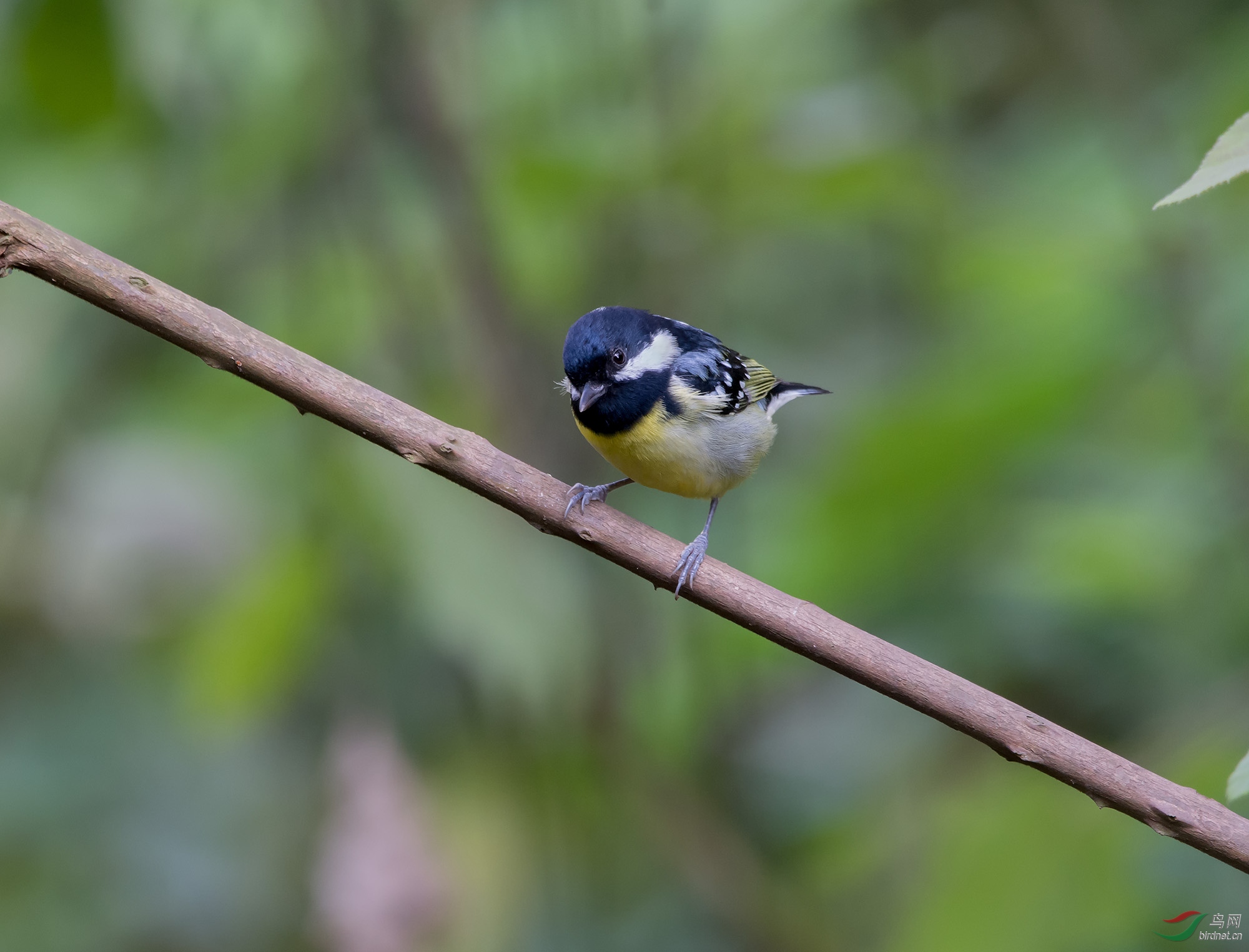 DSC_4903.jpg