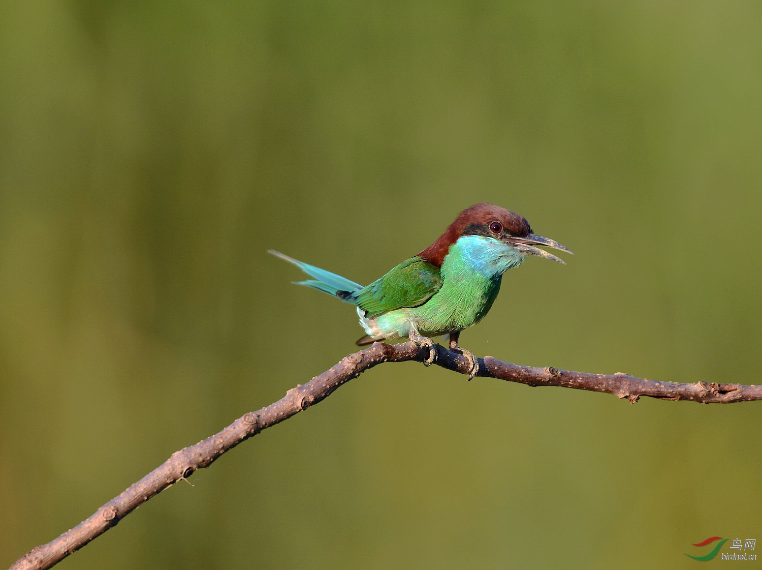 D8I_3970.jpg