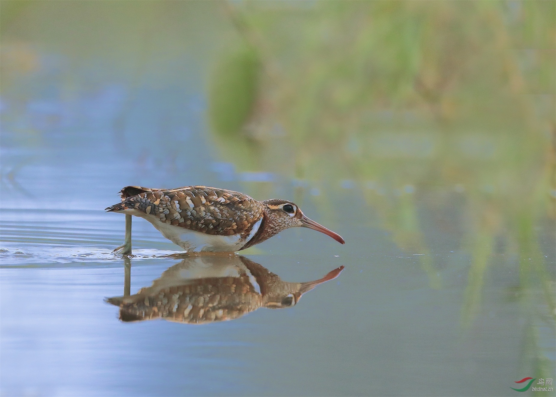 1 - ����.JPG