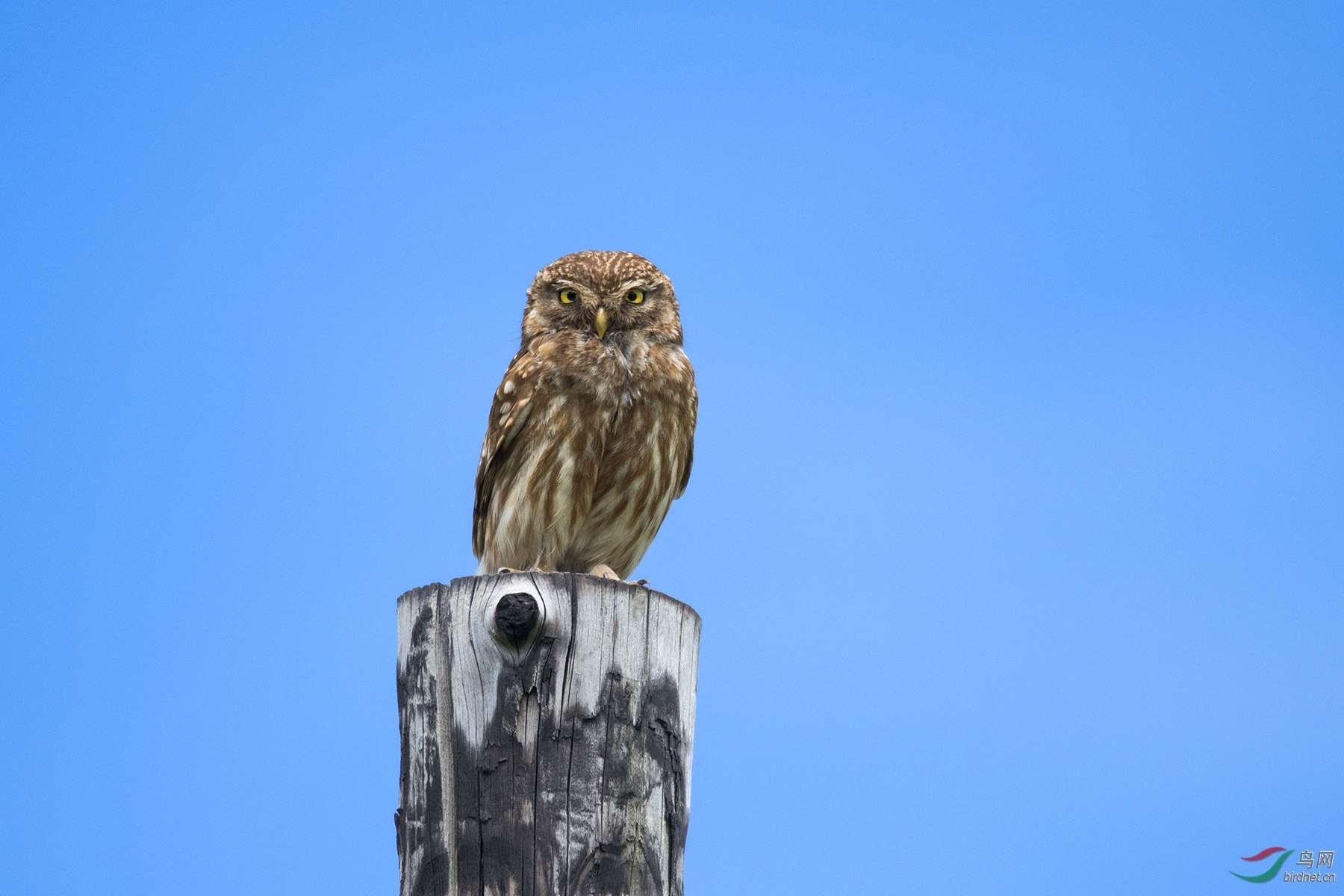 DSC_5531.jpg