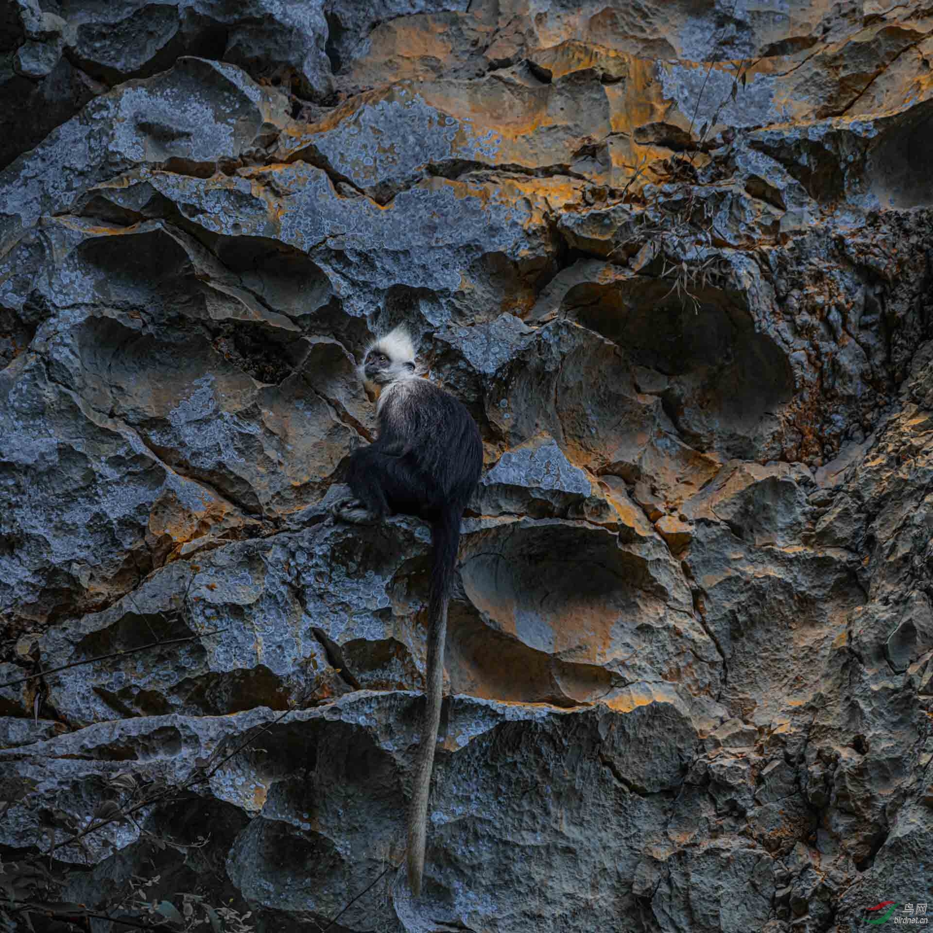 ����һ��ʯ�ھ���