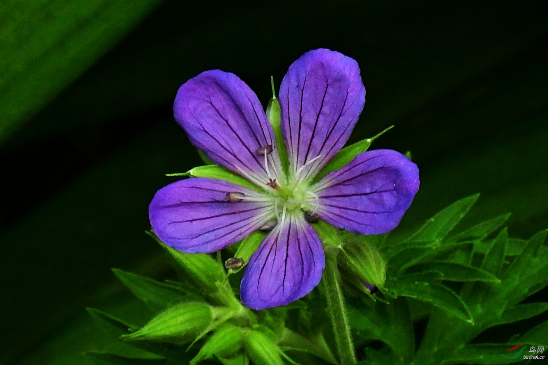 DSCN3068.JPG