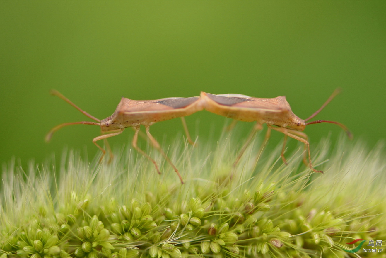 DSC_3402.JPG