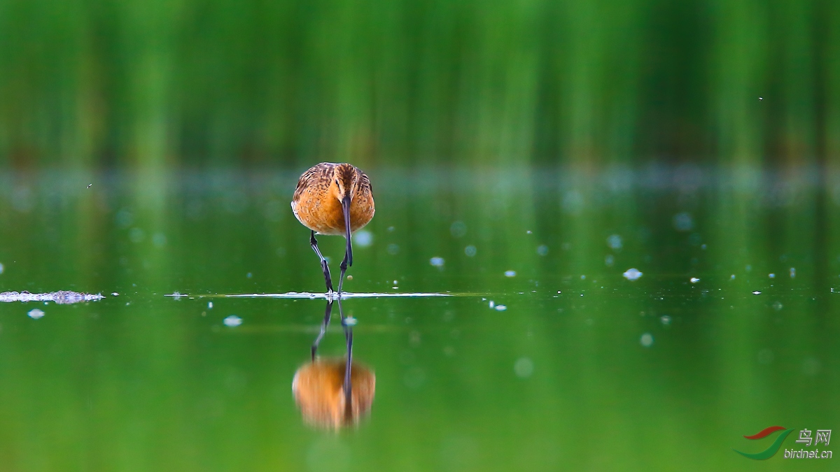 ������--������