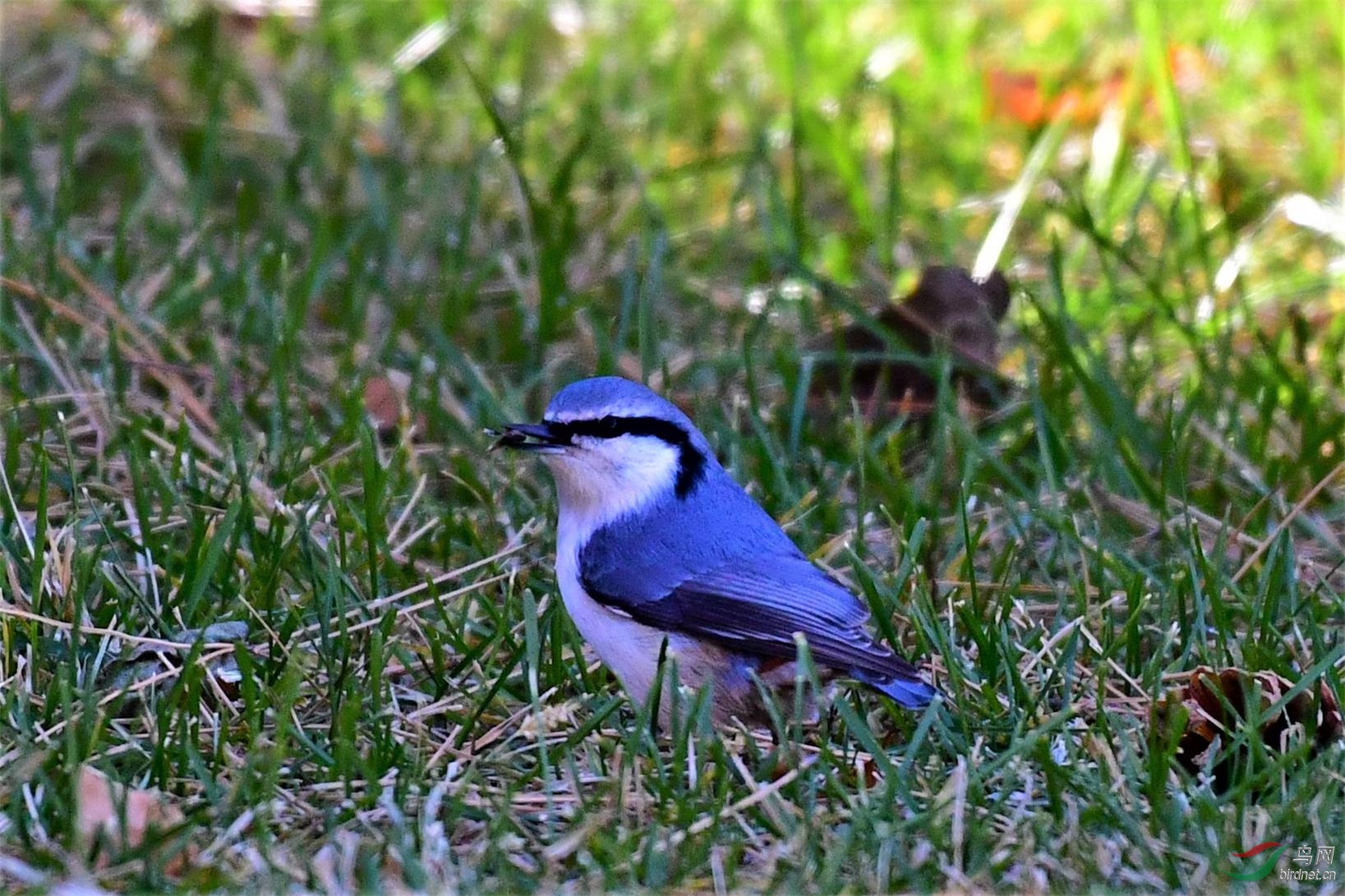 DSC_3803.jpg