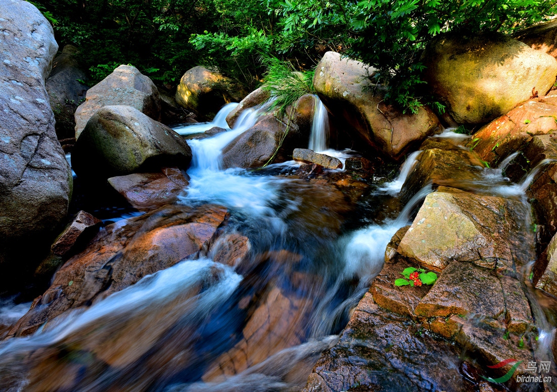 泉眼无声惜细流