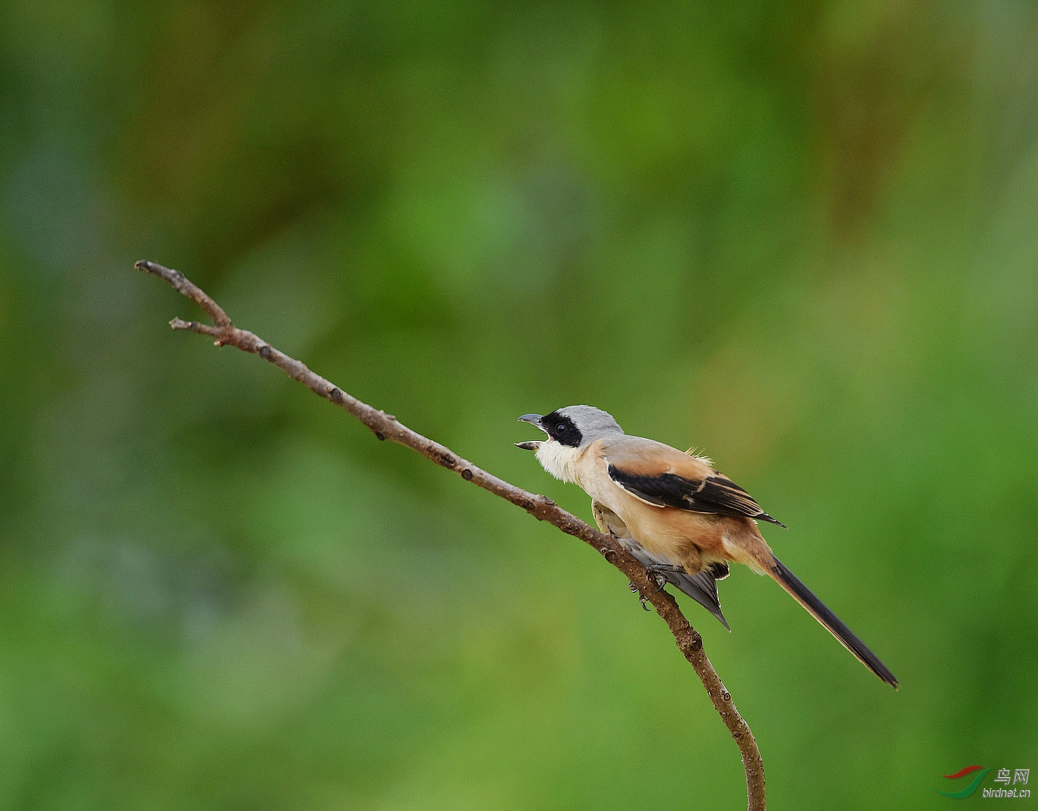 D8I_6780.jpg