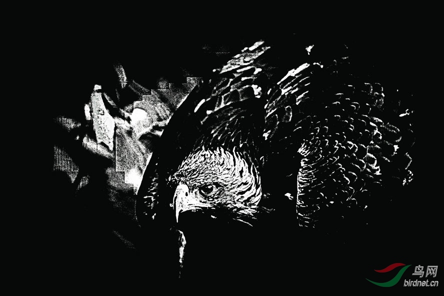 BW6I0421_����_����1_����1_����1_����_����.jpg