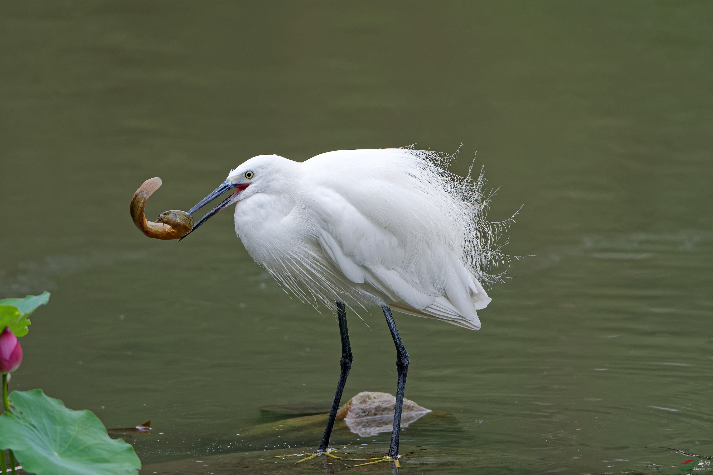 DSC_7476.jpg