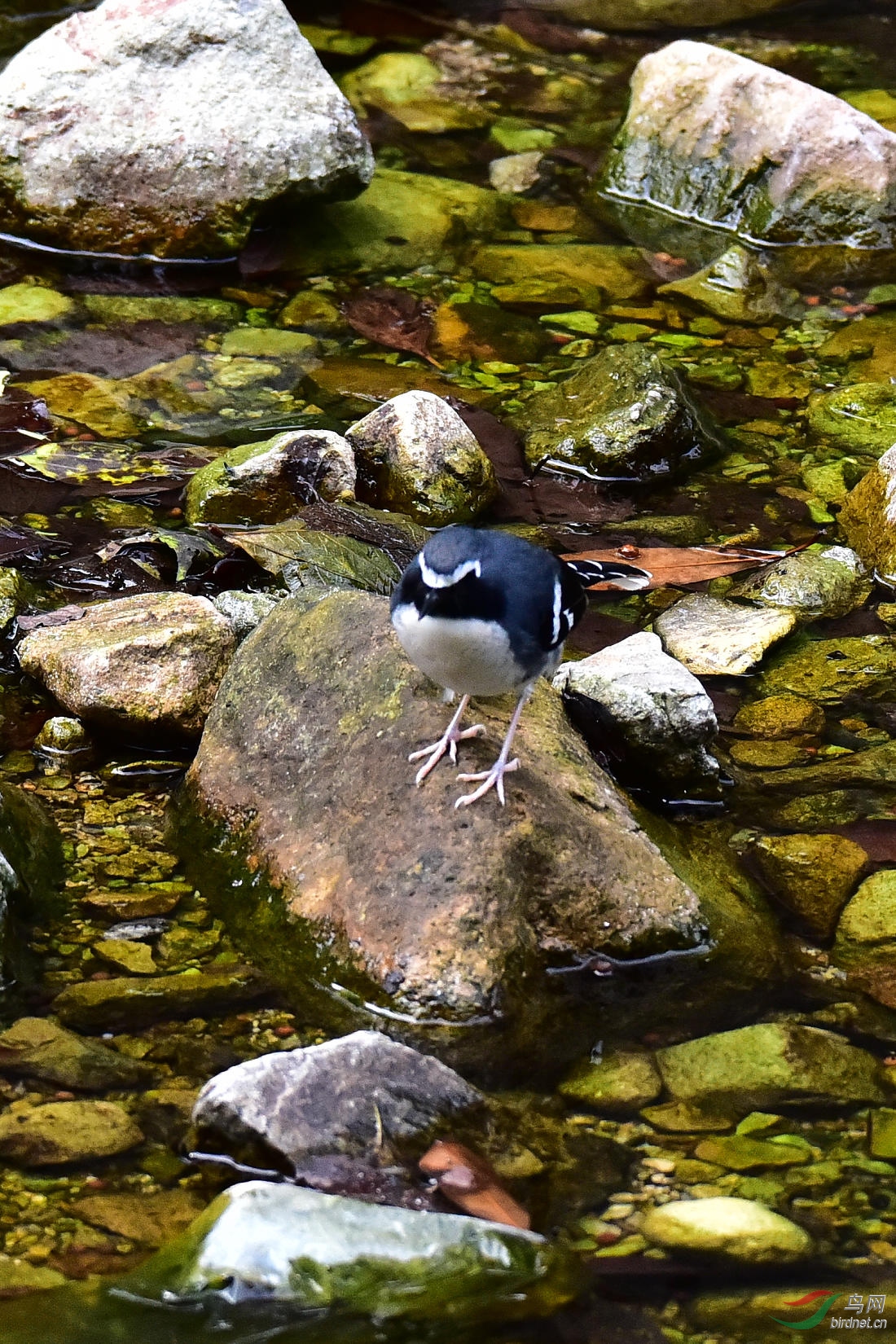DSC_0647.JPG