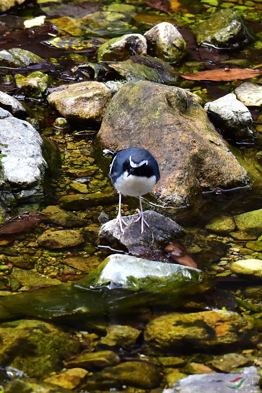 DSC_0648.JPG