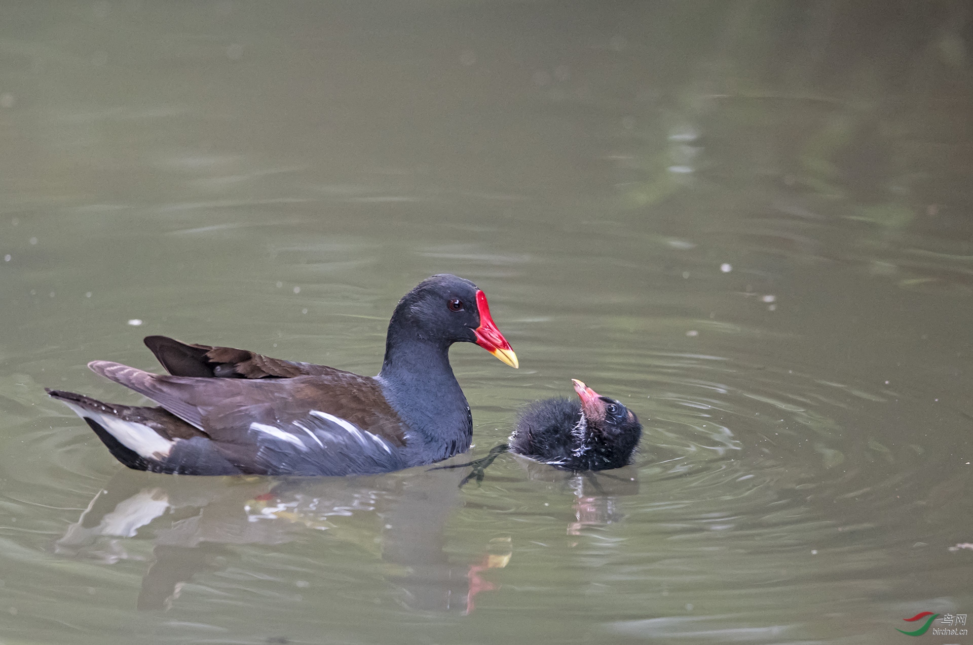DSC_6363.jpg