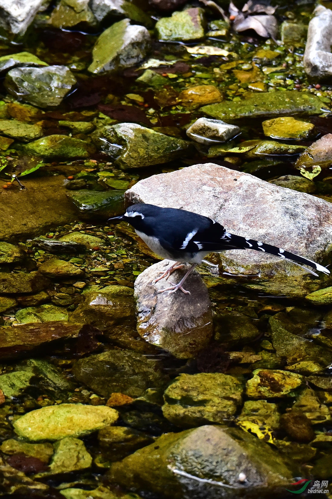 DSC_0651.JPG