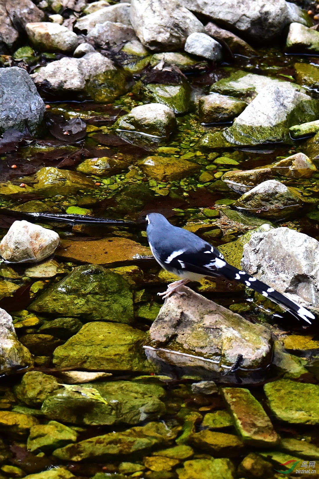 DSC_0654.JPG