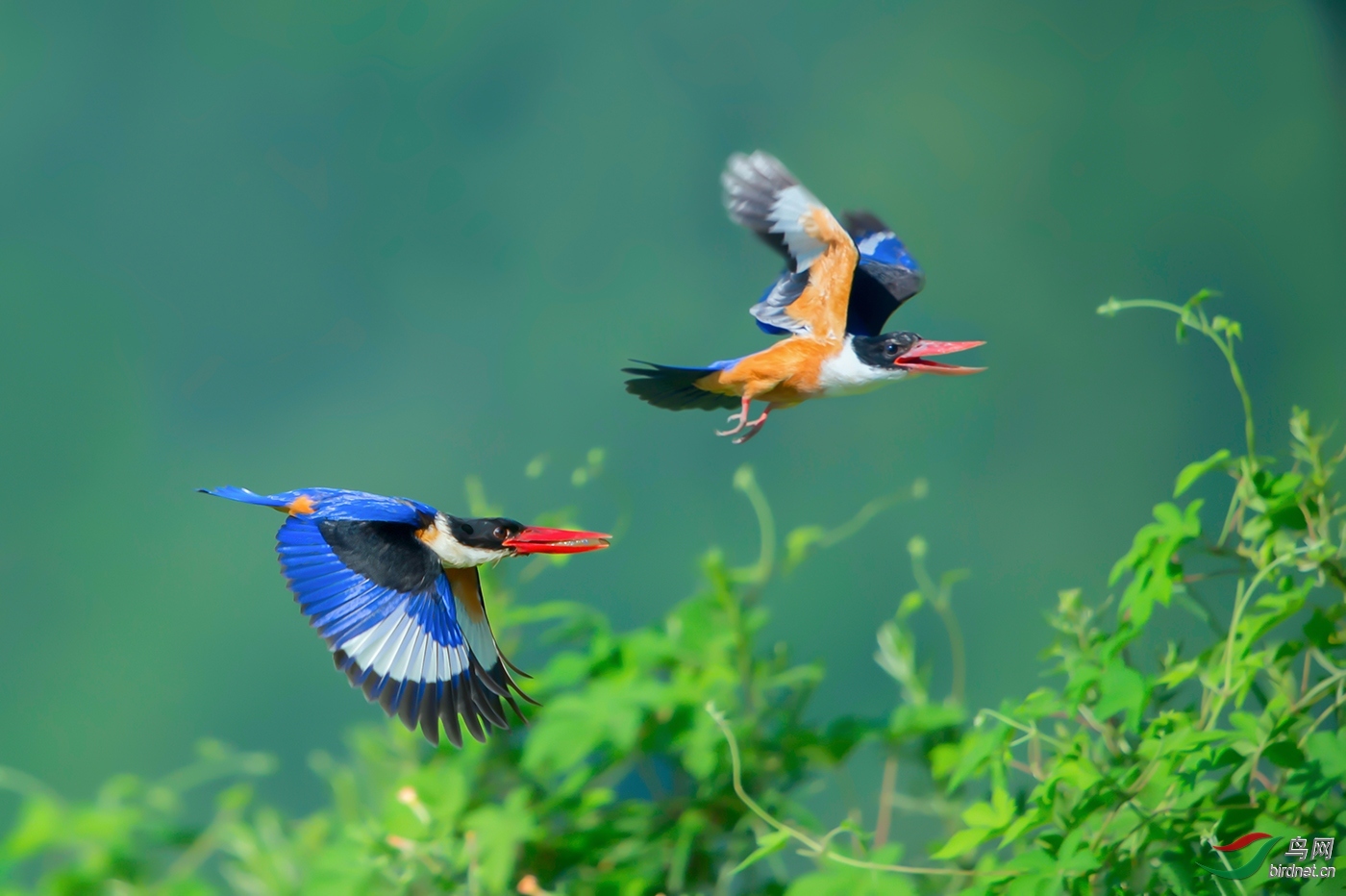 ����CHANGXIANG ��ʦ�����ں���ʡ������.jpg