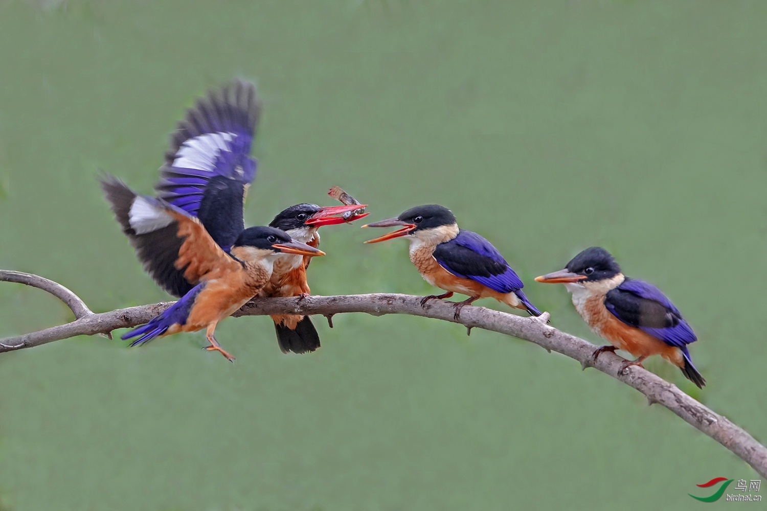 ɵ��ͷ-�Ÿ��� ��ʦ������ɽ��ʡ�ٷ���.jpg