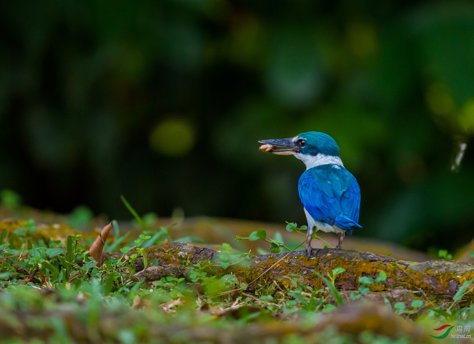 ��Ӱ���� ��ʦ����.jpg