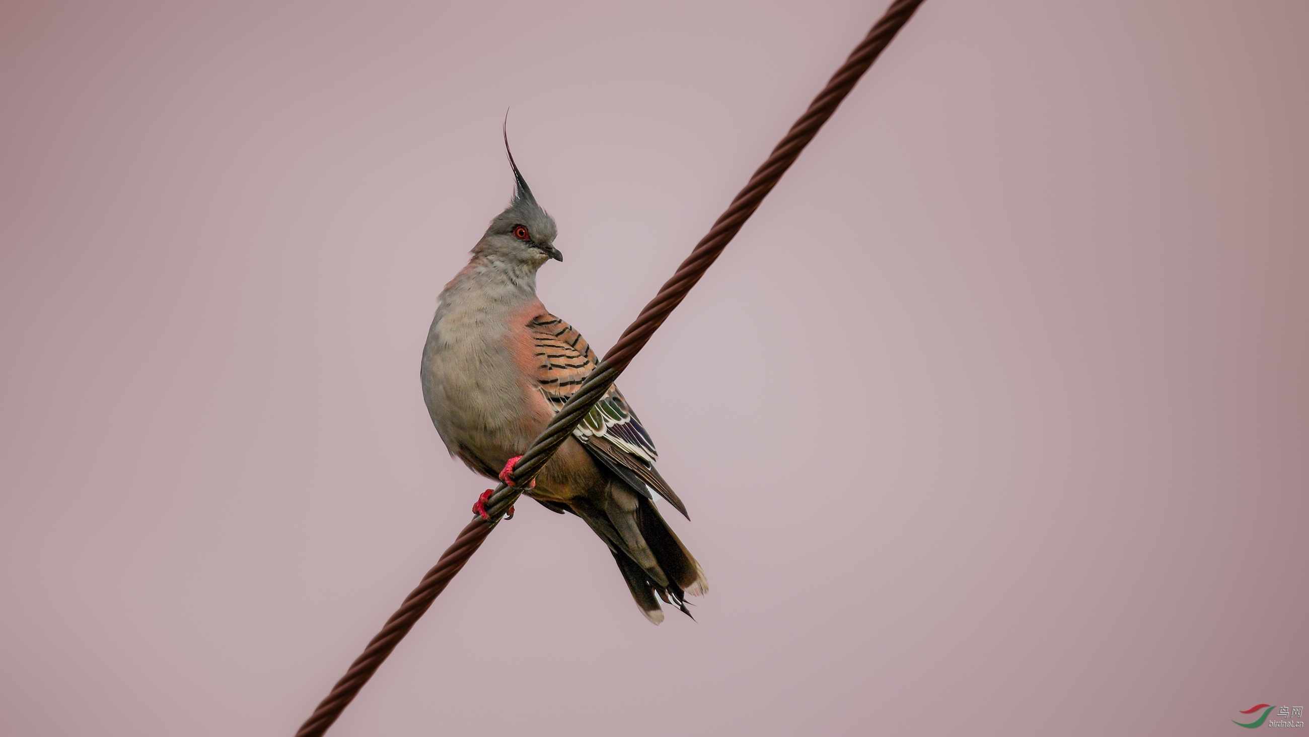 DSC_33721.jpg