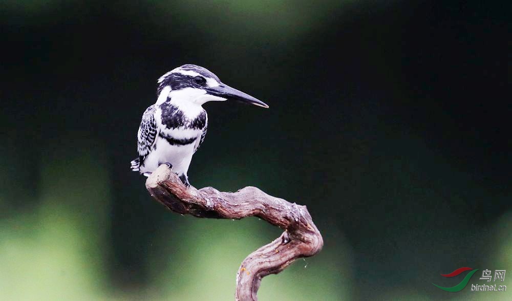 ���� ���㹷4.jpg