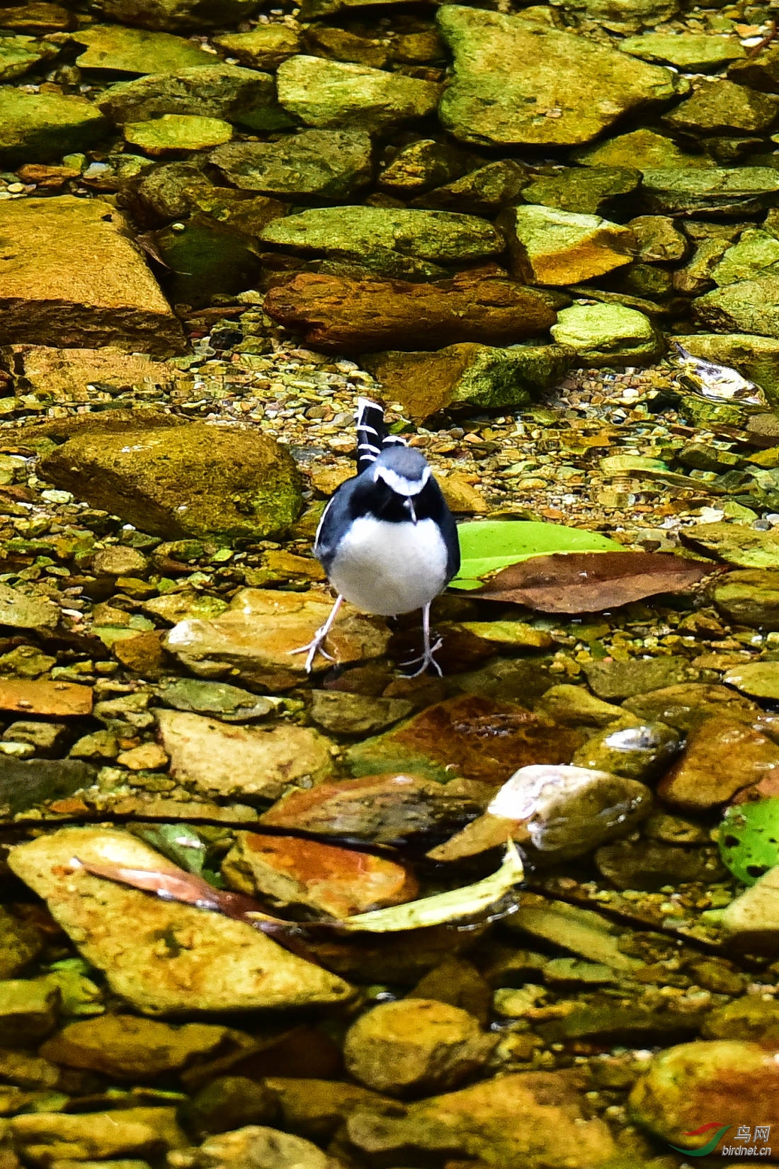 DSC_0660.JPG