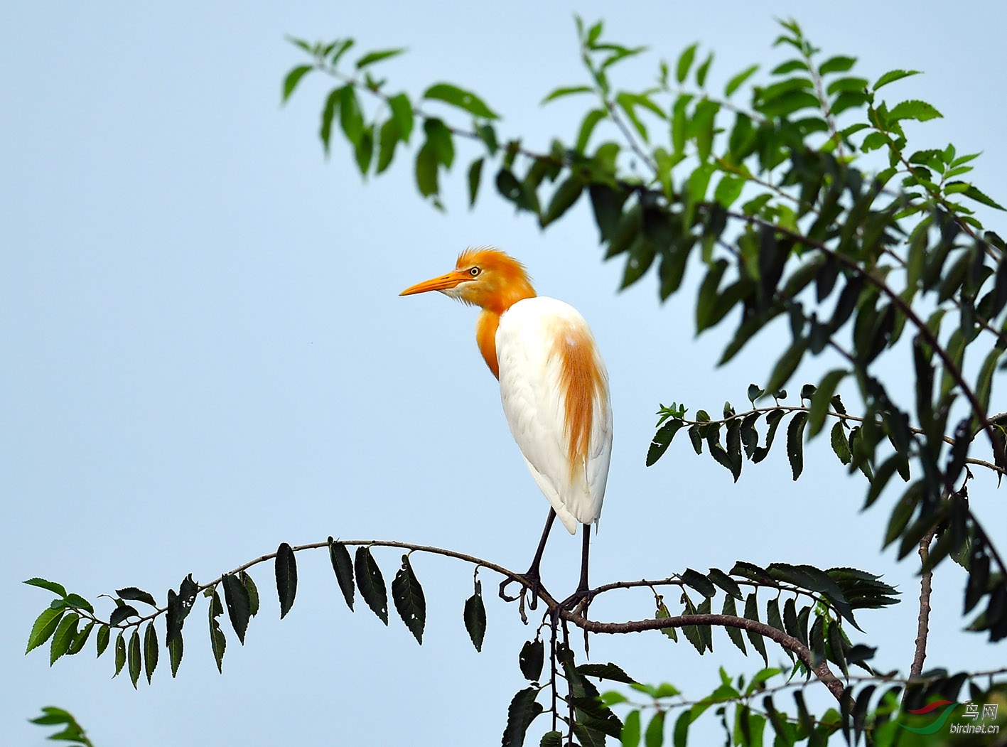 DSC_0779.jpg