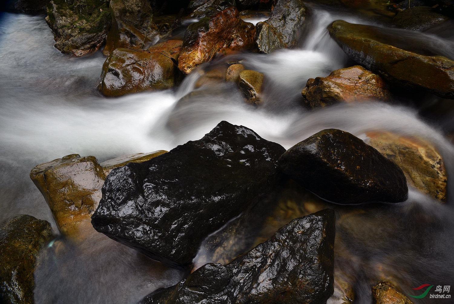 D8I_5191.jpg