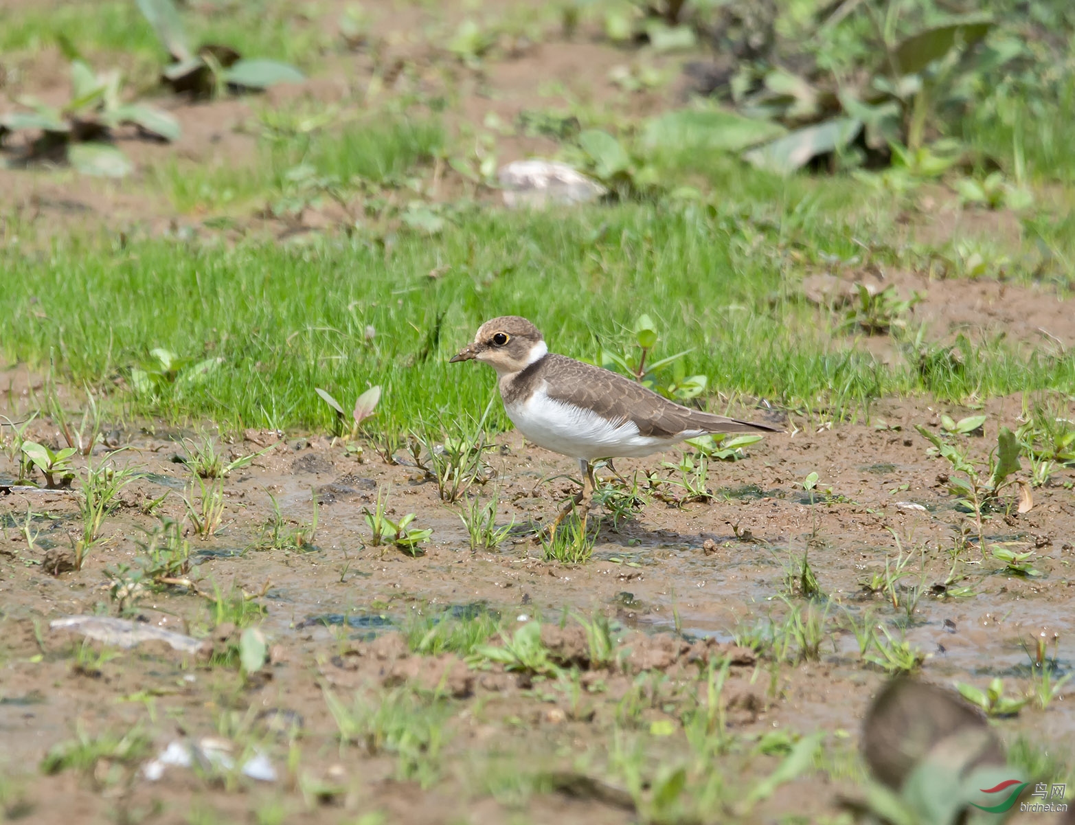 DSC_9661.jpg