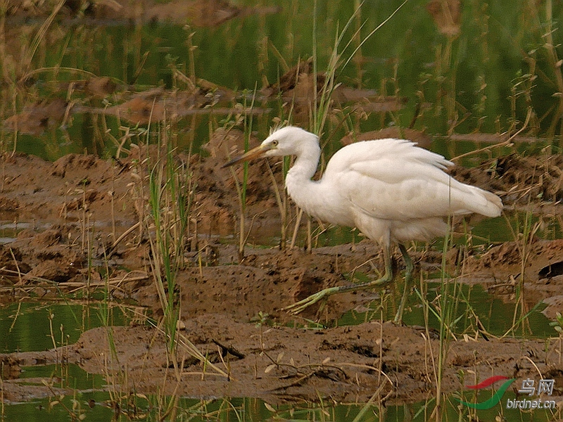 P5130900 - ����.JPG