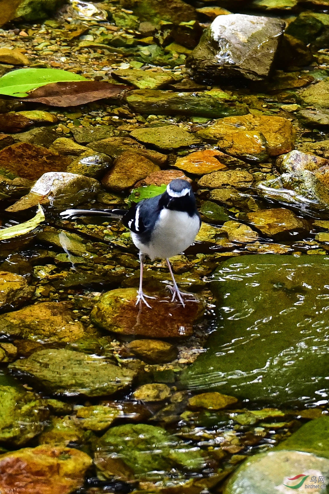 DSC_0662.JPG