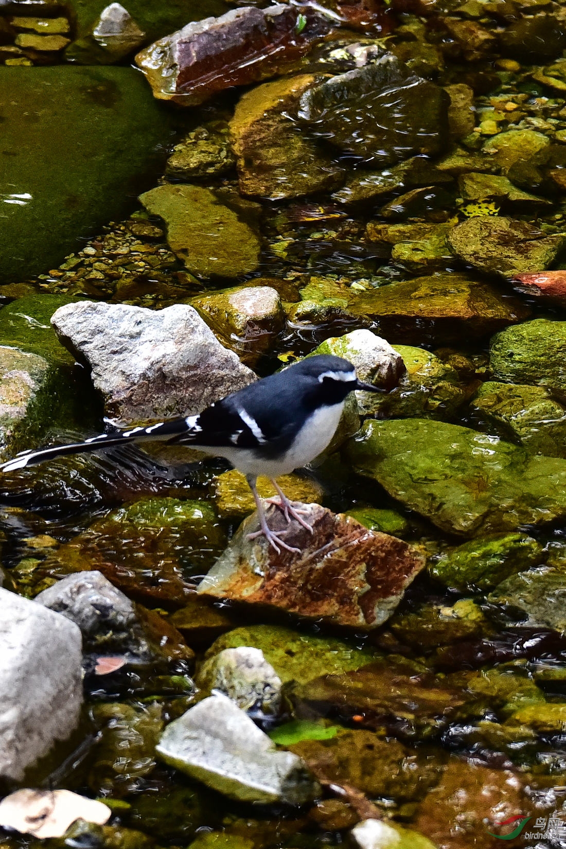 DSC_0664.JPG