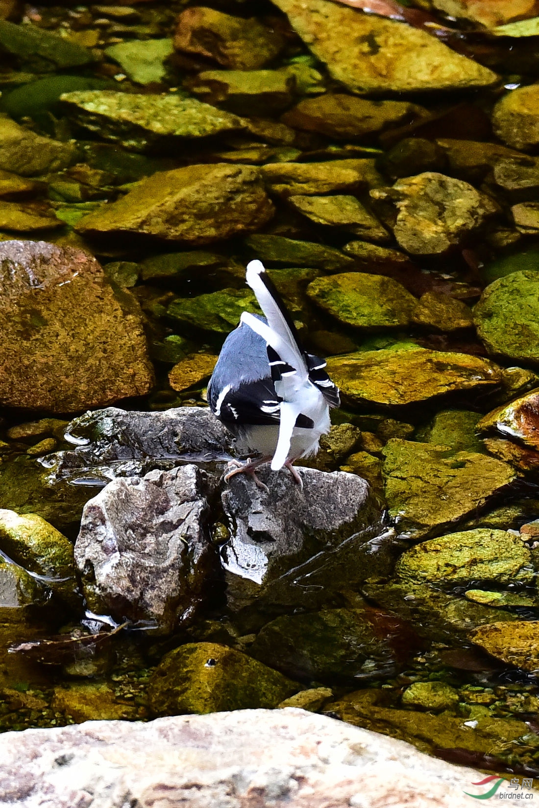 DSC_0666.JPG