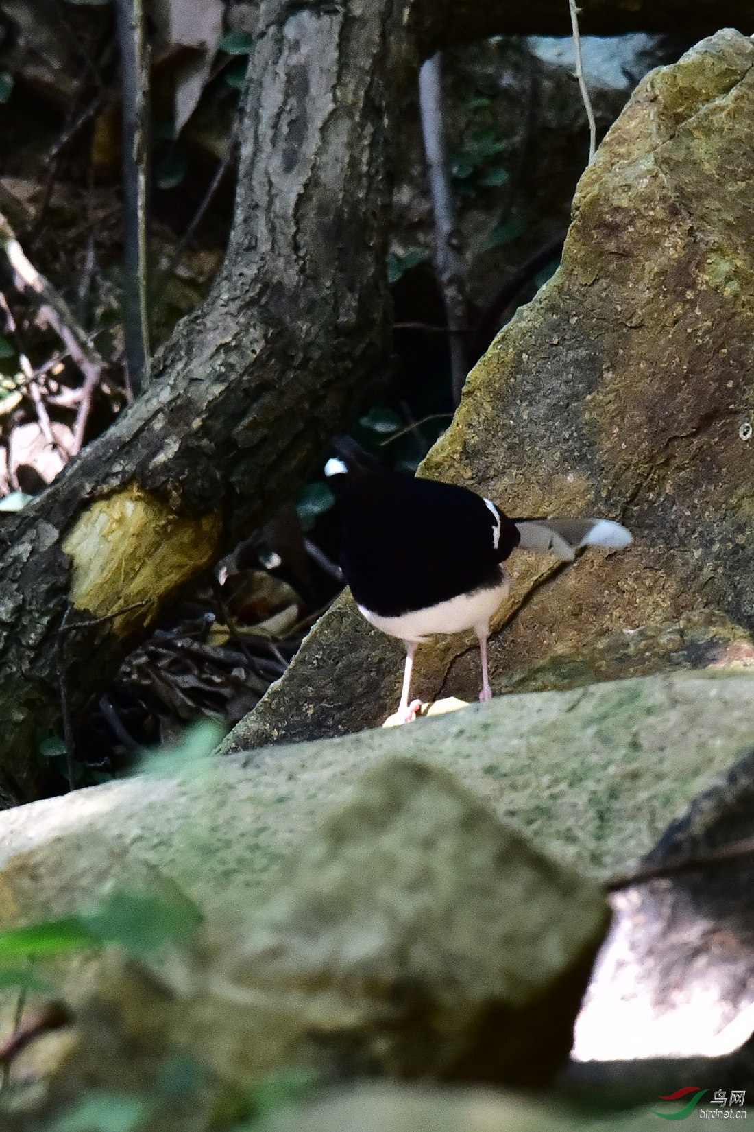 DSC_0667.JPG